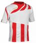 Preview: Acerbis Trikot Mira rot-weiß gestreift